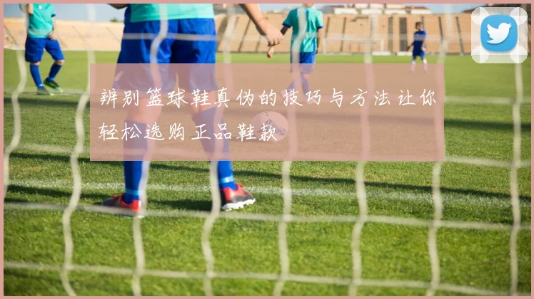 辨别篮球鞋真伪的技巧与方法让你轻松选购正品鞋款