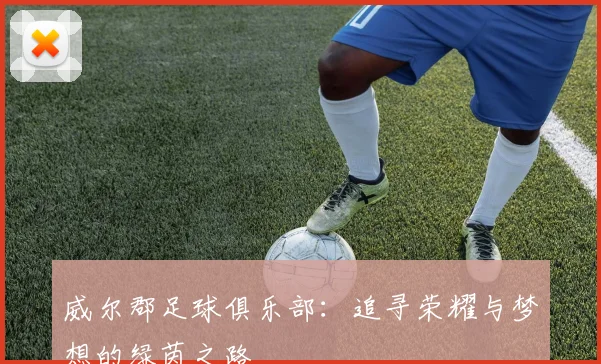 威尔郡足球俱乐部：追寻荣耀与梦想的绿茵之路