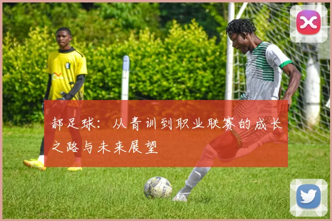 郝足球：从青训到职业联赛的成长之路与未来展望