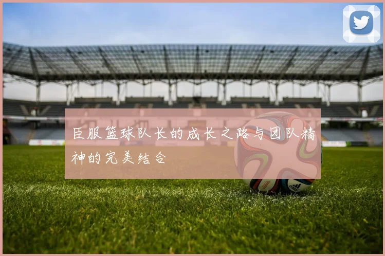 臣服篮球队长的成长之路与团队精神的完美结合