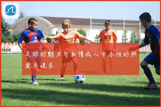 足球的魅力与激情我心中永恒的热爱与追求
