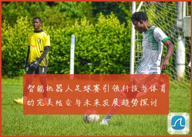 智能机器人足球赛引领科技与体育的完美结合与未来发展趋势探讨