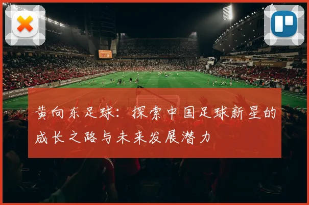 黄向东足球：探索中国足球新星的成长之路与未来发展潜力
