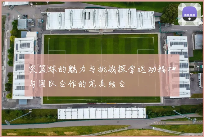 突篮球的魅力与挑战探索运动精神与团队合作的完美结合