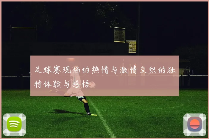 足球赛现场的热情与激情交织的独特体验与感悟
