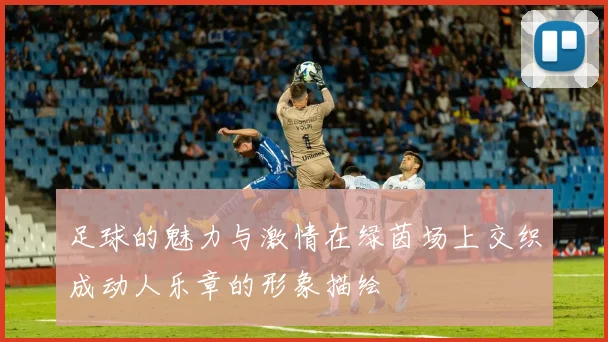 足球的魅力与激情在绿茵场上交织成动人乐章的形象描绘