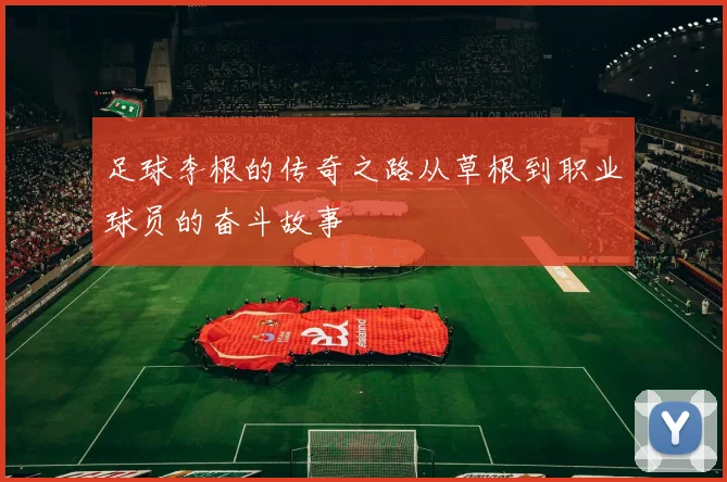 足球李根的传奇之路从草根到职业球员的奋斗故事