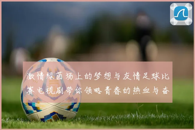 激情绿茵场上的梦想与友情足球比赛电视剧带你领略青春的热血与奋斗