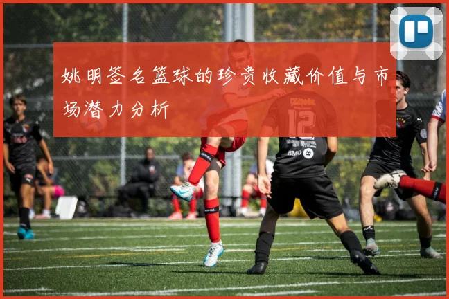 姚明签名篮球的珍贵收藏价值与市场潜力分析